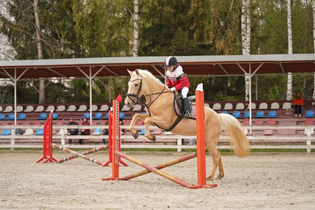 ЦКО «Шихово»