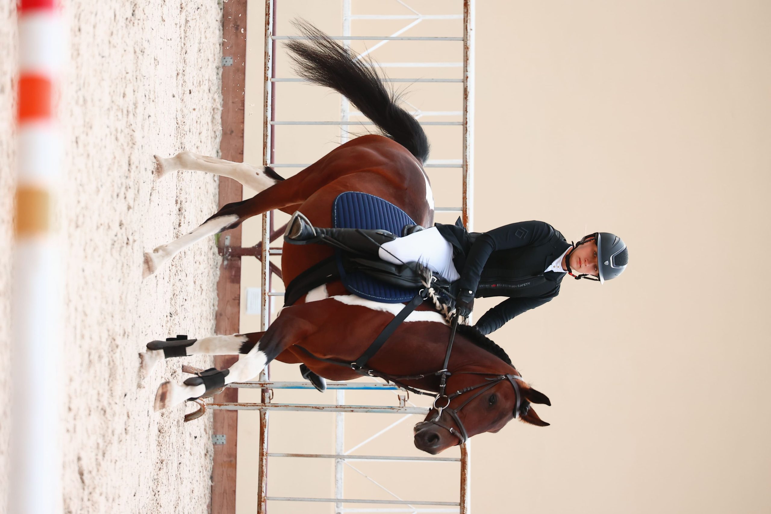 Конный клуб «Лошади добра»