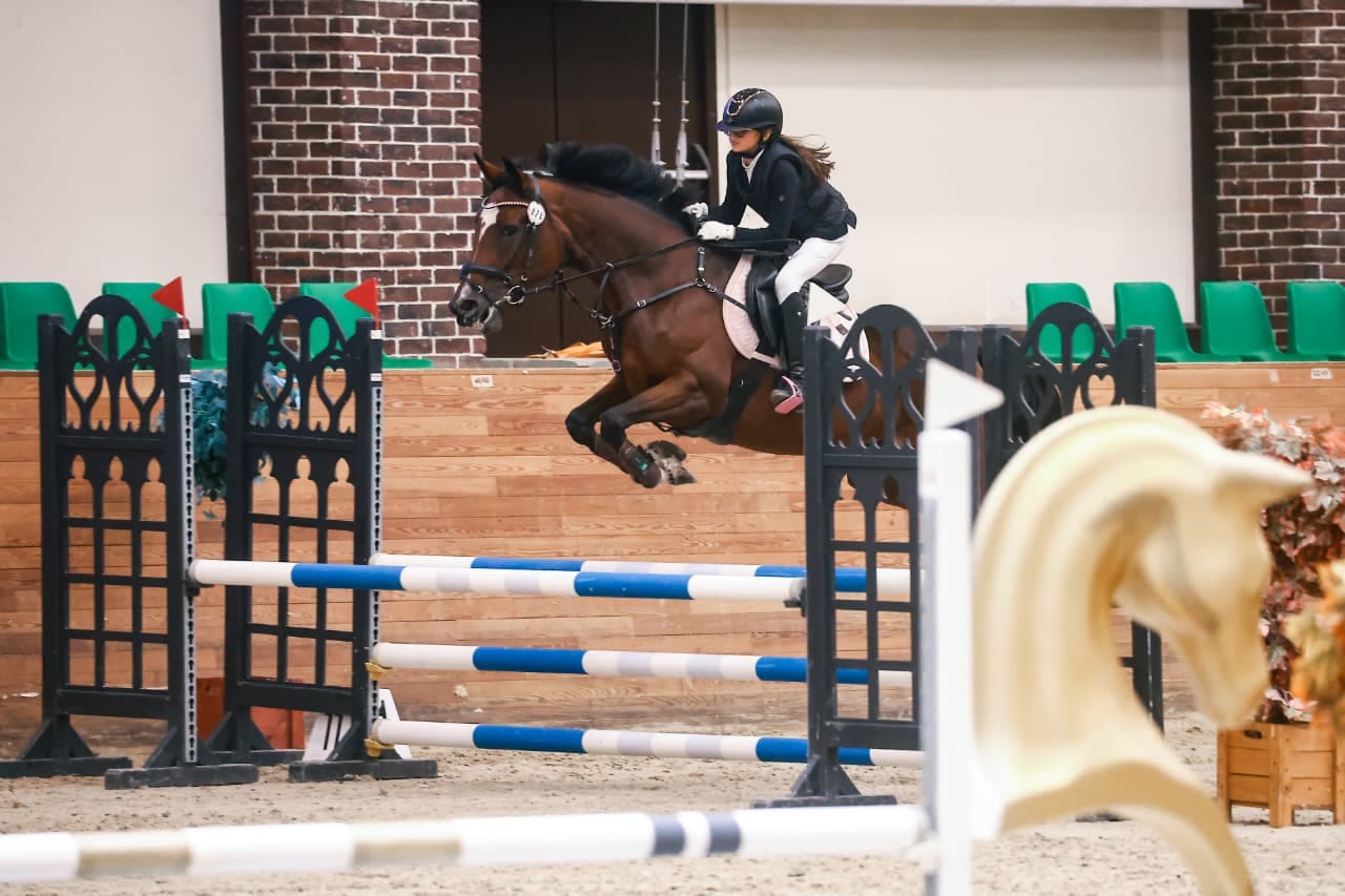 Конный клуб «Лошади добра»