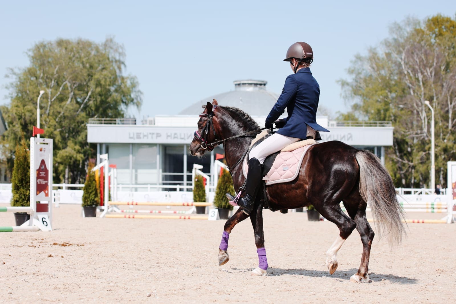 Конный клуб «Лошади добра»