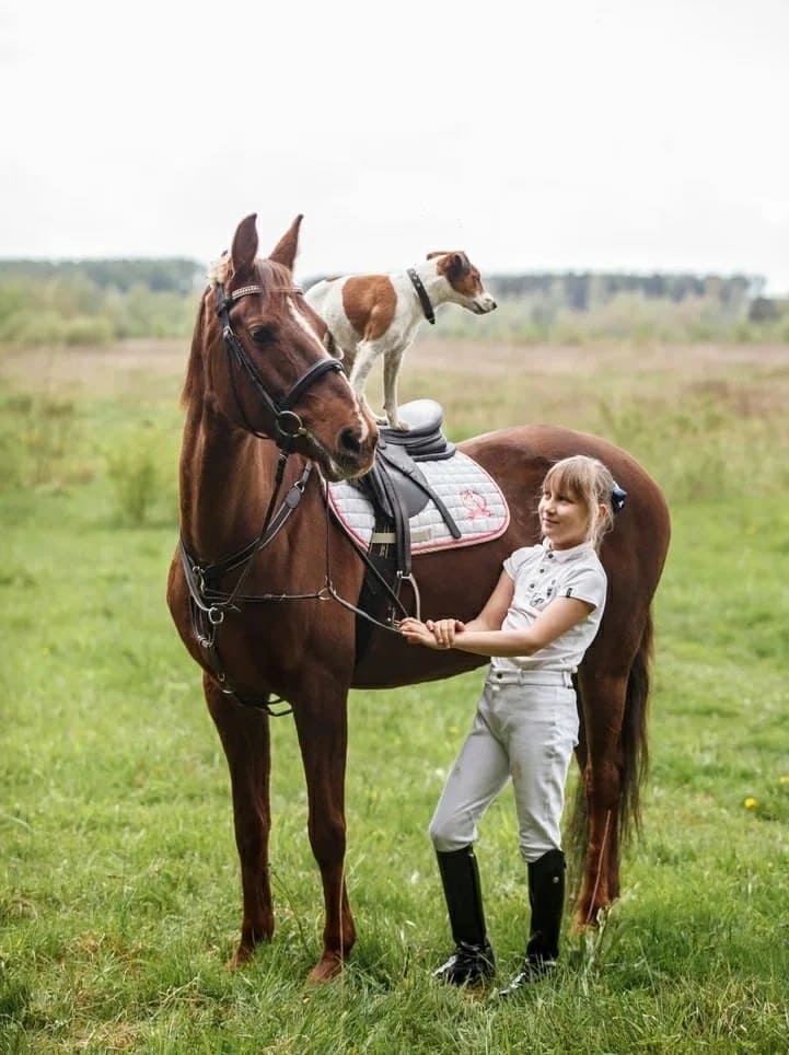 ЦКО «Шихово»