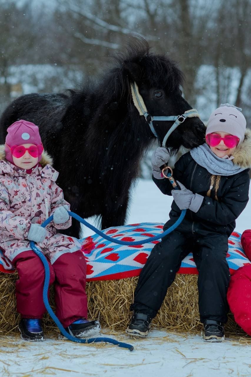 Конный клуб «Лошади добра»