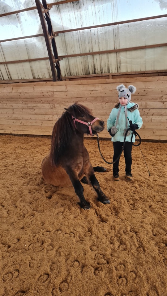 Конный клуб "Харламово"