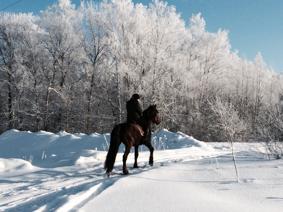 Конный клуб "Харламово"