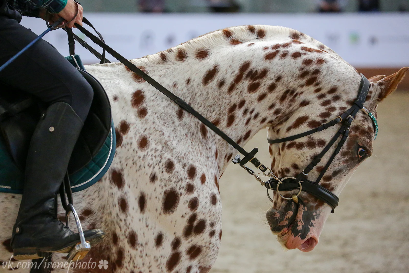 Слайд карусели