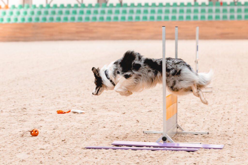 Слайд карусели