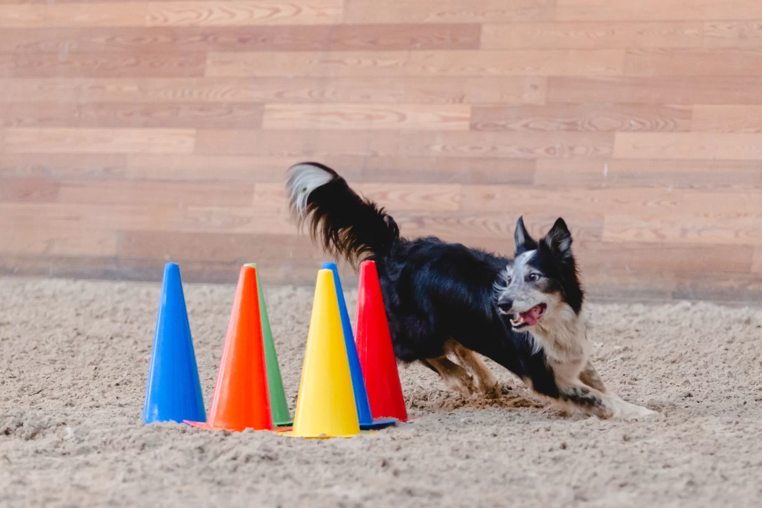 Слайд карусели