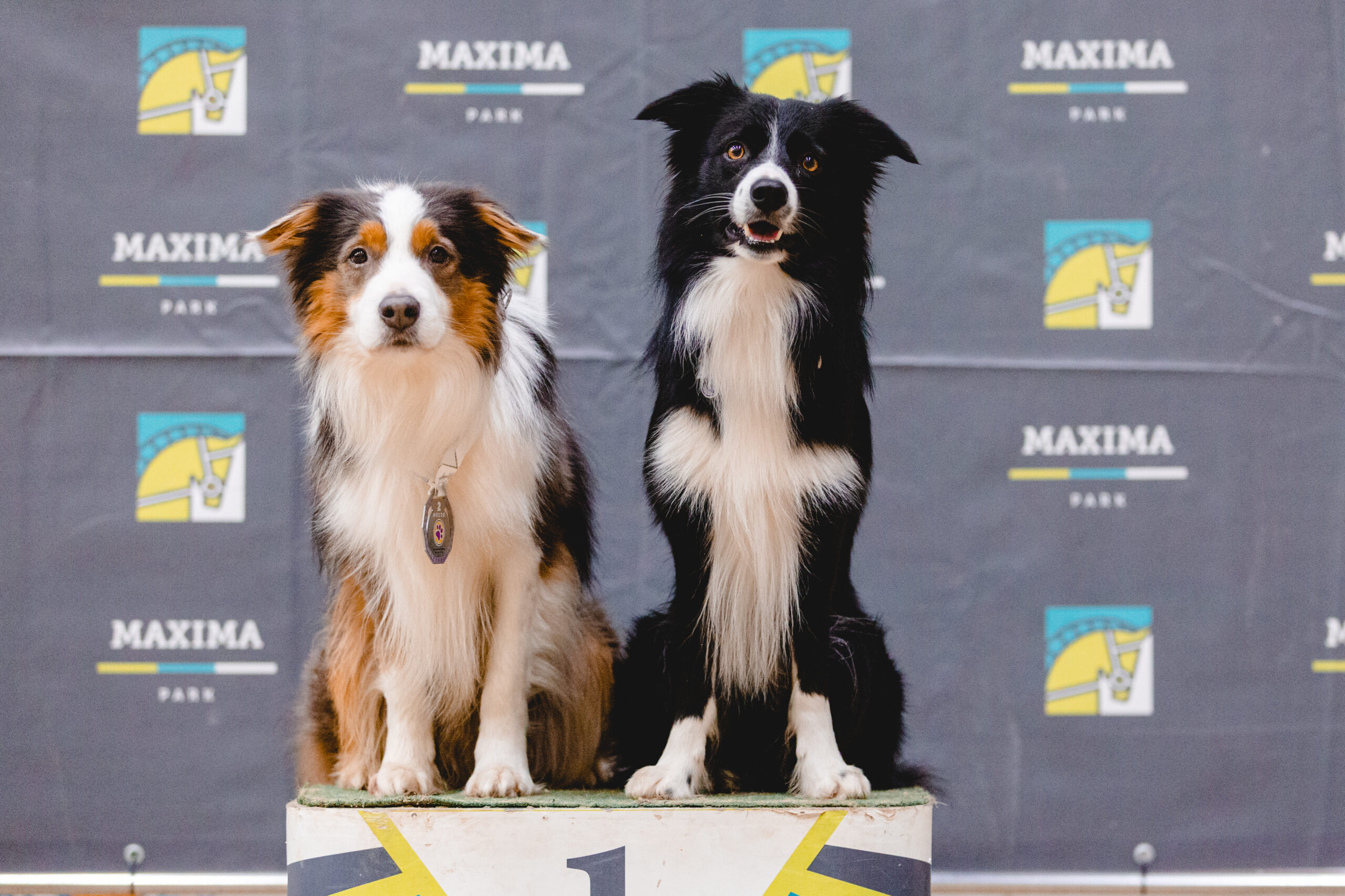 Слайд карусели