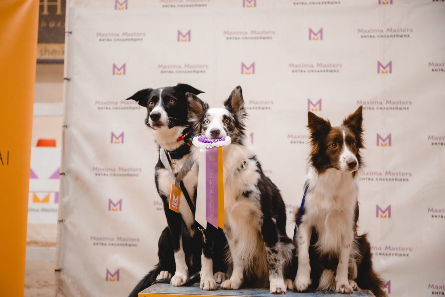 Слайд карусели