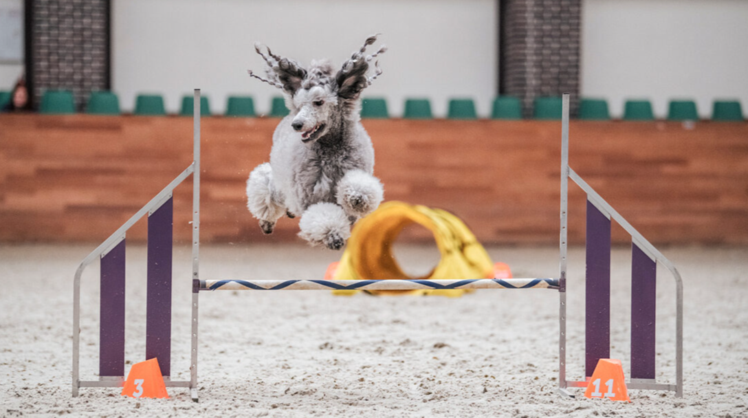 Слайд карусели