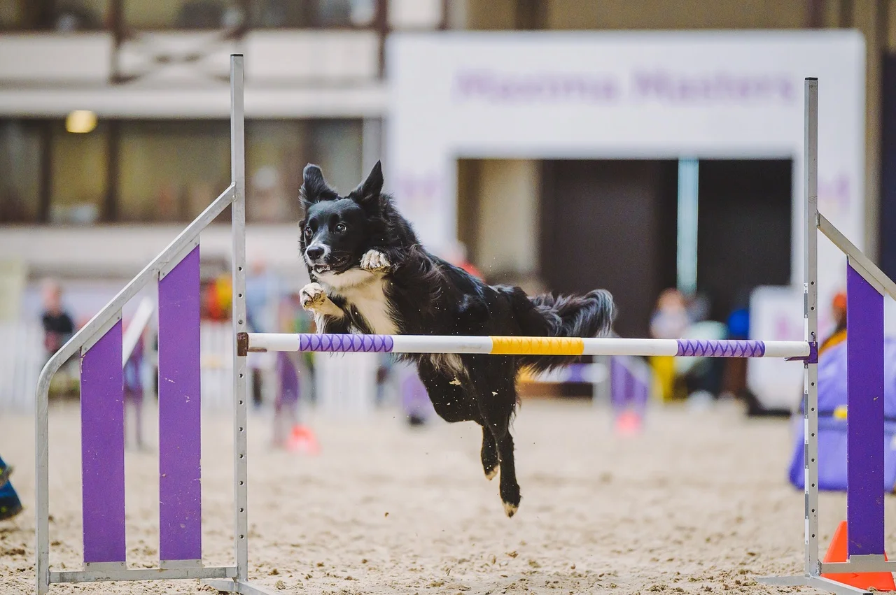 Слайд карусели