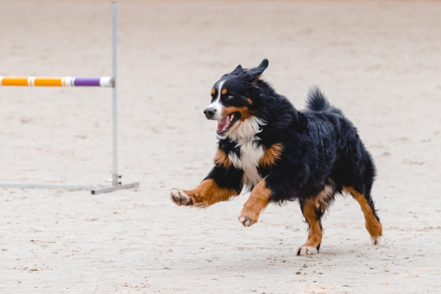 Слайд карусели